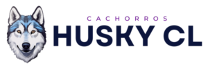 logocachorroshuskycl