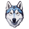 Logo cachorros husky cl